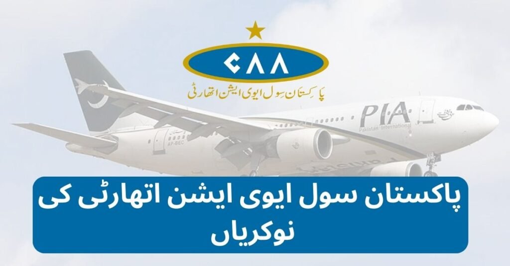 Pakistan Civil Aviation article 7 image